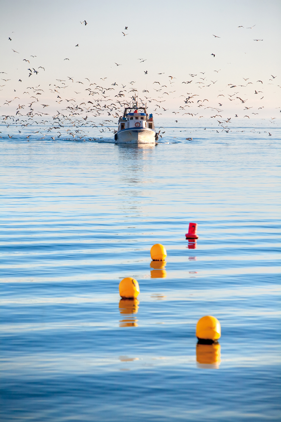 bateau-iledere
