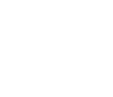 icon-valeurs-1