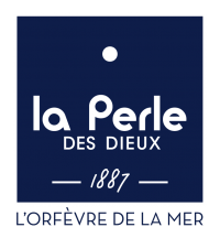 LPDD – LOGO fond transparent
