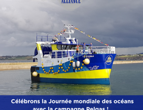 La belle Alliance : Campagne Pelgas